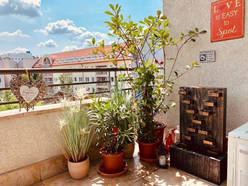 Sunny Deluxe Apt. & Terrace Budapest Esterno foto